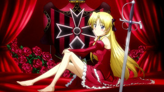 Woman sword bed red rose - a sword and a sword free wallpaper