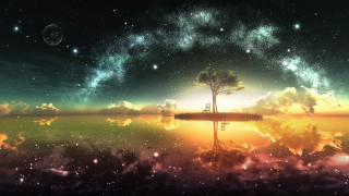 Tree sky reflection water stars - a tree in the foreground free wallpaper