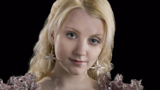 Blonde woman dress posing picture - facial free wallpaper