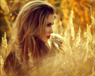 Woman blonde longhair field blowing - the wind free wallpaper
