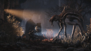 Creepy creature forest man suit - a forest next free wallpaper