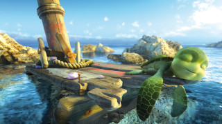 Turtle lying dock water rope - a wooden dock free wallpaper