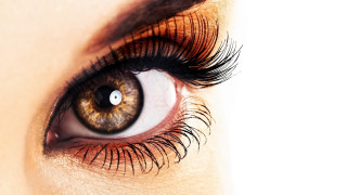 Woman eye long lashes brown 2 - realistic eye free wallpaper