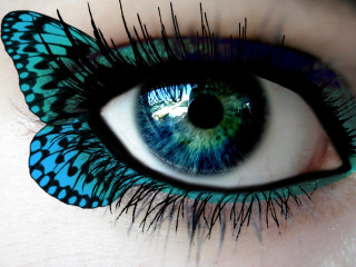 Butterfly eye blue green wings - iris free wallpaper