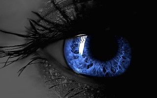 Blue eye forest silhouette monster - realistic eye free wallpaper