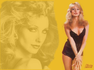 Woman black dress yellow background - evelyn abelson free wallpaper