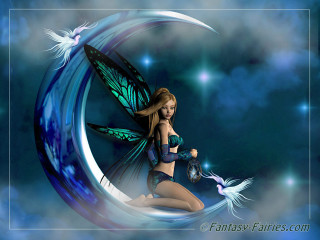 Beautiful fairy moon butterfly bird - fantasy style free wallpaper