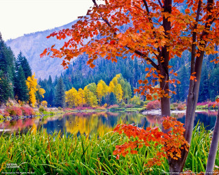 Lake fall colors mountain forest - the background and a mountain range in the distance free wallpaper
