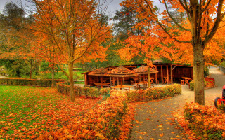 Red truck autumn leaves fire - a roof free wallpaper