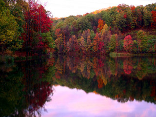 Lake trees fall colors hill - impressionist free wallpaper