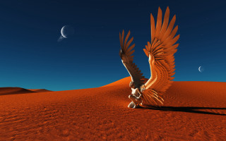 Bird wings desert crescent half - the desert free wallpaper