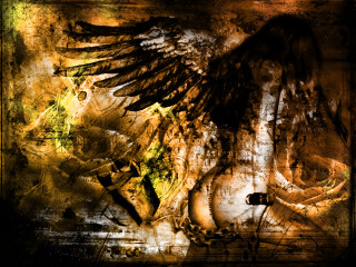 Bird wings cross chest painting - chest free wallpaper