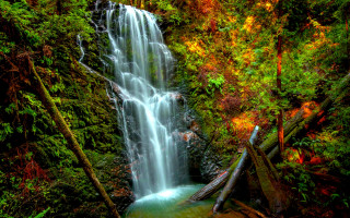 Waterfall forest trees wooden bridge - a waterfall in the middle of a forest free wallpaper