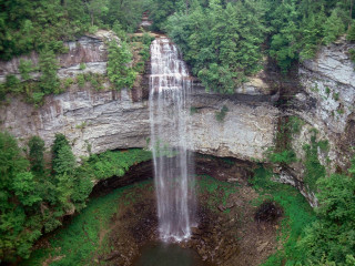Waterfall forest pond trees above - area free wallpaper