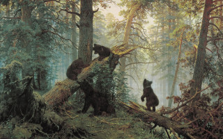 Bears forest fallen tree trunk - two bear free wallpaper