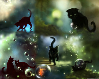 Cats bubbles forest chasing fish - a fish free wallpaper