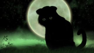 Black cat grass full moon - a black cat free wallpaper