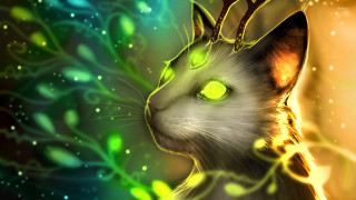 Cat glowing eyes green background - luminous free wallpaper