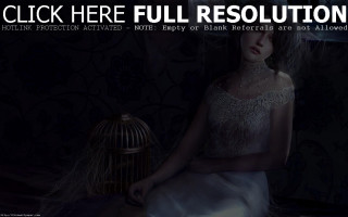 Woman white dress birdcage table - digital painting free wallpaper