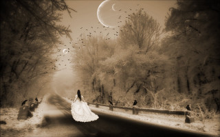 Woman white dress moon birds - overhead free wallpaper