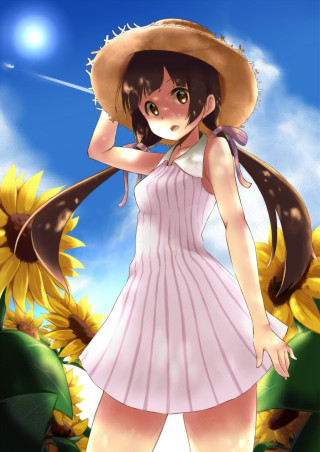 Woman dress hat sunflower field - front free wallpaper