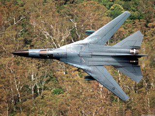 Fighter jet flying forest trees - over a forest free wallpaper