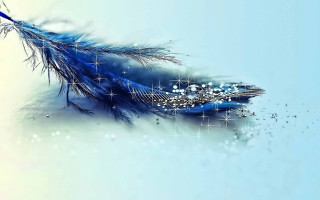 Blue feather sparkling stars background - white star free wallpaper