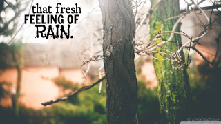 Tree quote on it - fresh free wallpaper