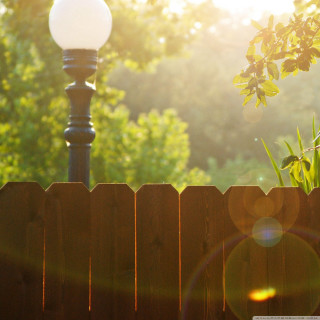 Light pole fence tree sunshine - near free wallpaper