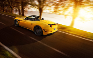 Yellow sports car driving road 5 - tree and a forest in the background free wallpaper