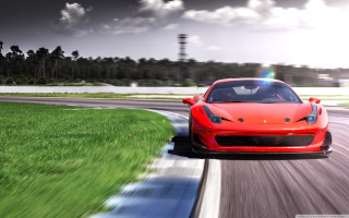 Red sports car track grass - grass and trees free wallpaper
