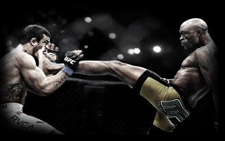 Boxing ring kick hold men 2 - his leg free wallpaper