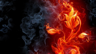 Red blue flower smoke black - background free wallpaper