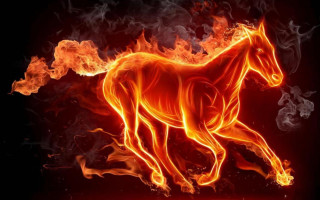 Horse running fire field smoke - a fire free wallpaper