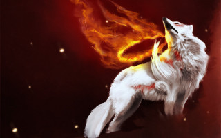 White wolf red yellow tail - tail free wallpaper