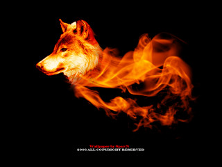 Wolf dark fire mouth head - david dougal williams free wallpaper