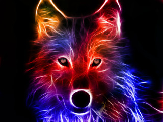 Wolf glowing eyes black background 3 - digital art free wallpaper