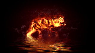 Fire dog on fire dark - caspar wolf free wallpaper