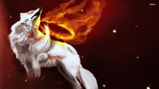 White wolf red yellow tail 2 - tail free wallpaper