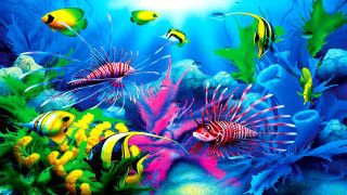Sea life fish corals sunbeam - rich vivid color free wallpaper