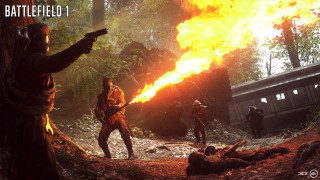 Forest fire group train man - the viewer free wallpaper