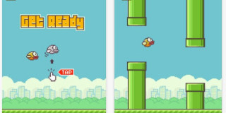 Bird flying city ground game - cafer bater free wallpaper
