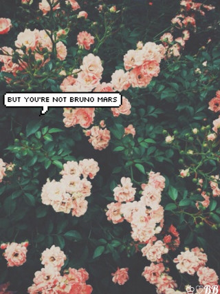 Pink flowers quote beautiful nature - aestheticism free wallpaper