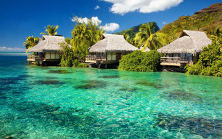 Huts hillside ocean lush green 5 - lush free wallpaper