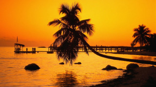 Palm tree sunset ocean pier 3 - palm tree free wallpaper