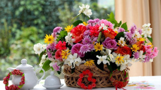 Basket flowers teapot table window - afewerk tekle free wallpaper