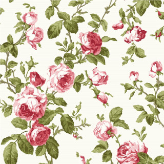 White background pink red roses - green leaf free wallpaper
