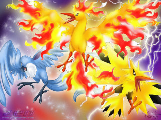 Bird fire wings flame back - a flame free wallpaper