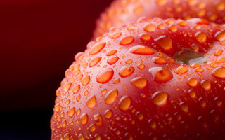 Red apple water drops black 2 - art green free wallpaper