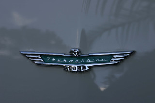 Car emblem hood palm tree - a palm tree in the background free wallpaper